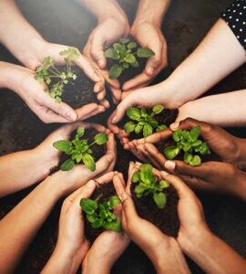 Social Responsibility​