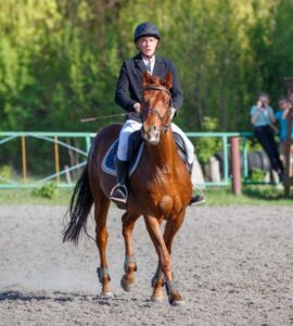 Equestrian Events